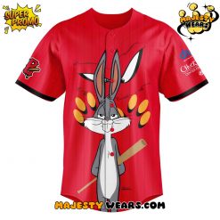 Schaumburg Boomers x Looney Tunes 2025 Custom Baseball Jersey
